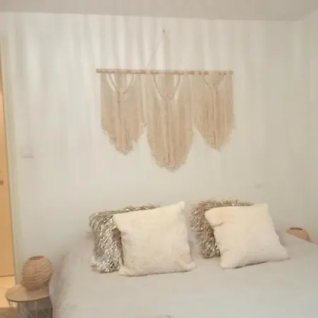 Havre De Paix Les Pelicans